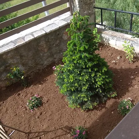 Angelic In The Mountains וילה *