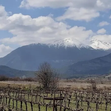 Angelic In The Mountains *