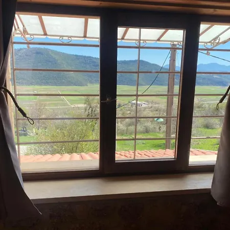 αγγελικά στα ορεινά