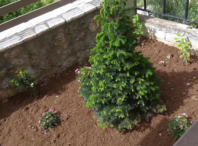 αγγελικά στα ορεινά Βίλα *