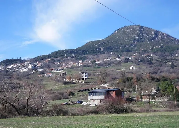 αγγελικά στα ορεινά *