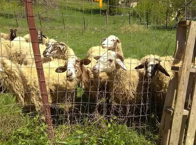 αγγελικά στα ορεινά Βίλα *