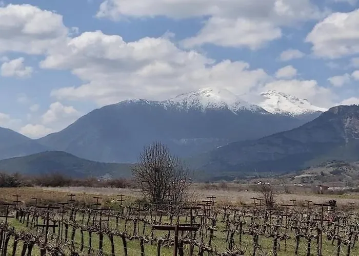 Angelic In The Mountains *